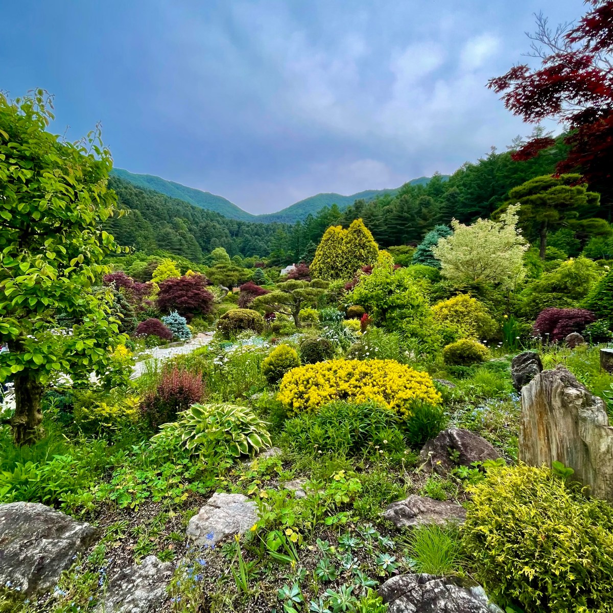 Garden of Morning Calm&nbsp;(아침고요수목원)