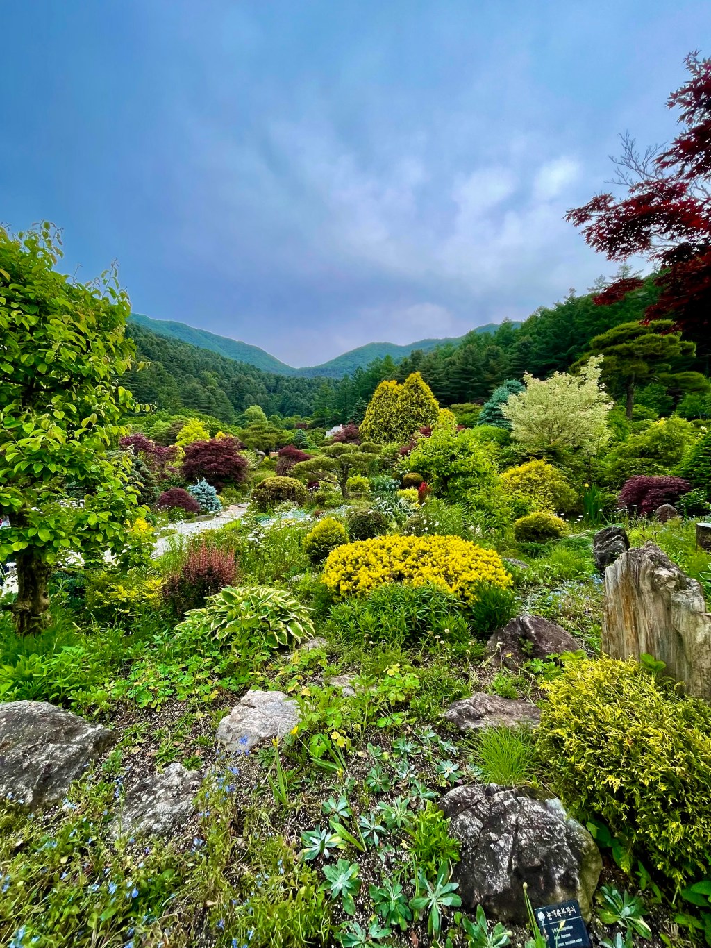 Garden of Morning Calm&nbsp;(아침고요수목원)