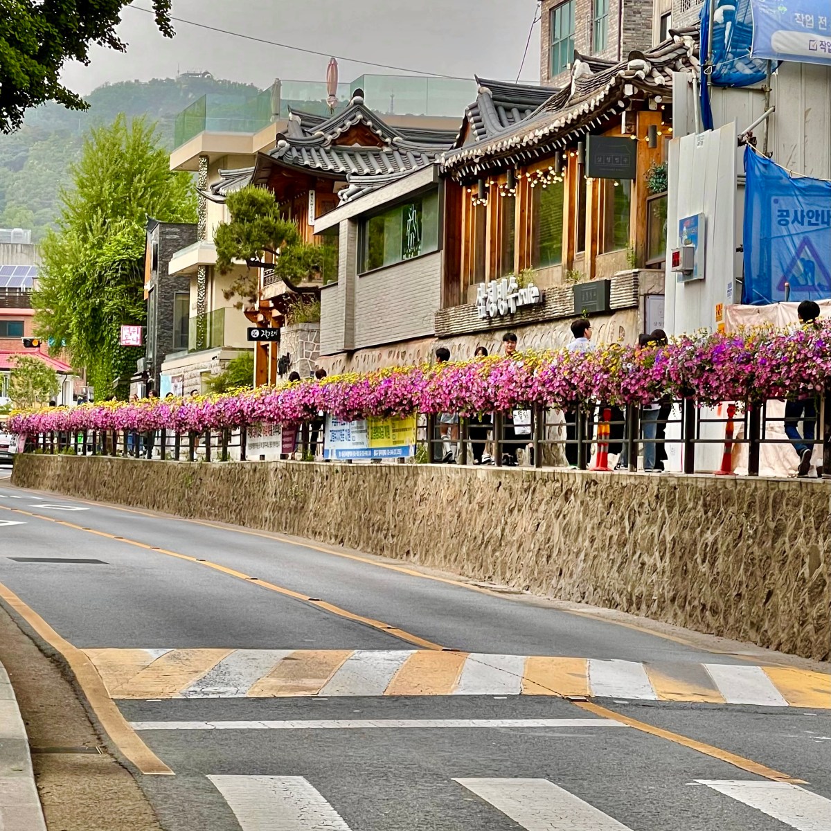 Samcheong-dong  (삼청동)