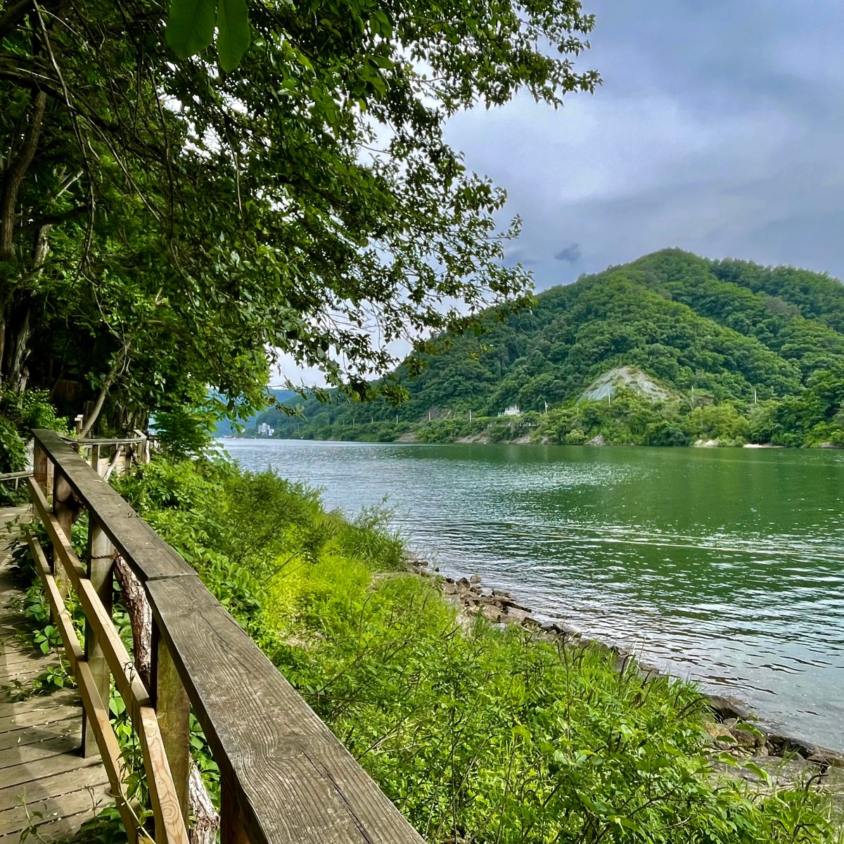 Nami Island (남이섬)