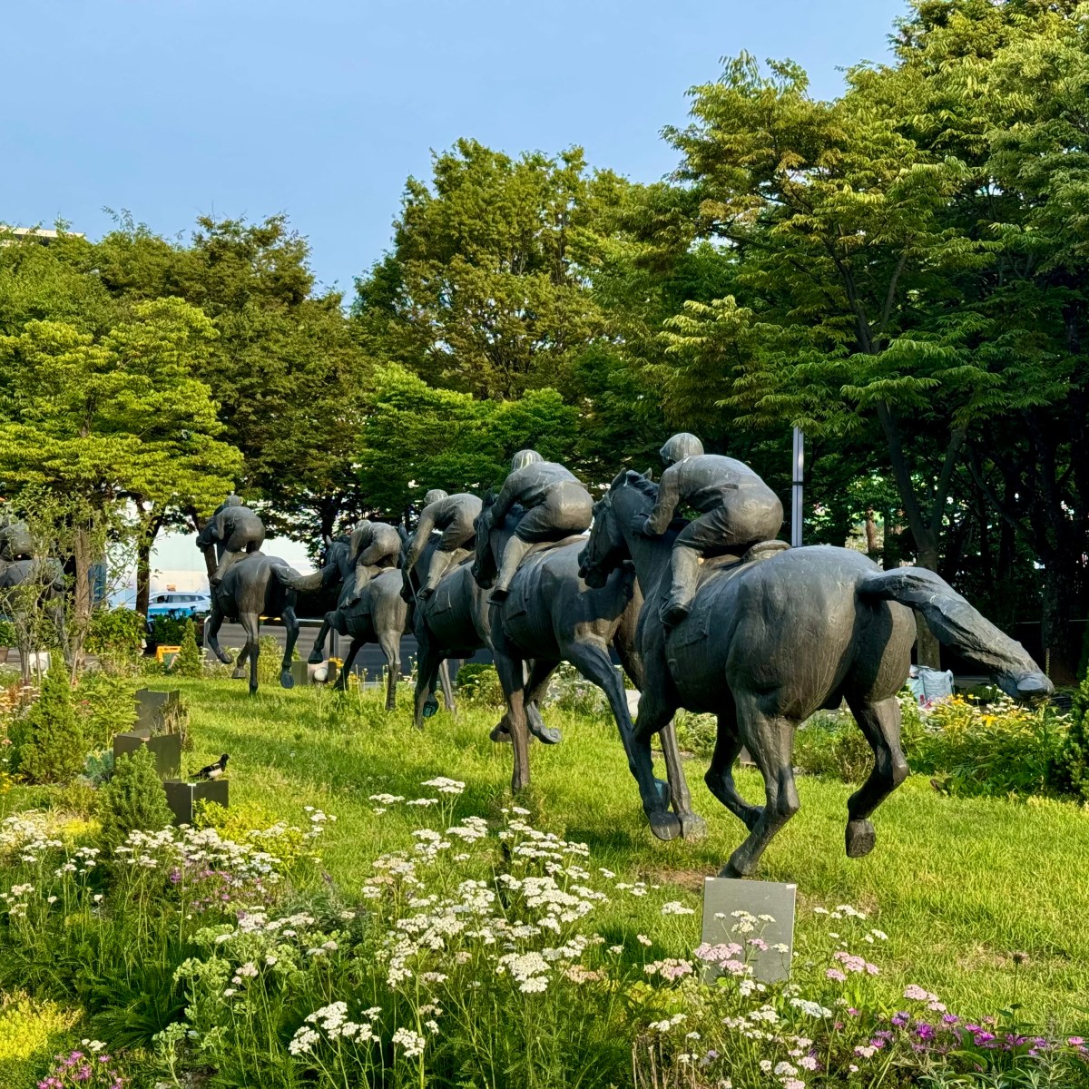 Seoul Forest (서울숲)